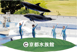 京都水族館